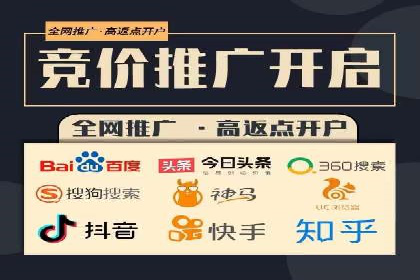 百度广告竞价之成功案例：某行业领军企业的崛起之路